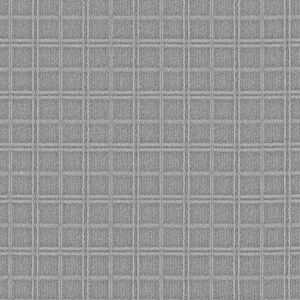 Anderson Tuftex Carpet Breeze Block Graceful 00345_ZZ291