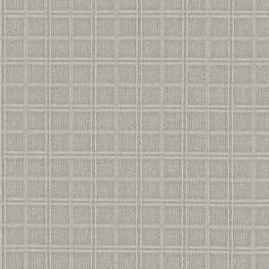 Anderson Tuftex Carpet Breeze Block Blustery 00352_ZZ291
