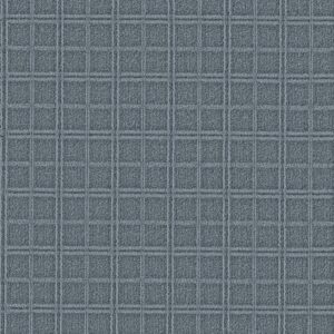 Anderson Tuftex Carpet Breeze Block Inlet 00437_ZZ291