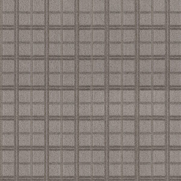 Anderson Tuftex Carpet Breeze Block Shady 00536_ZZ291