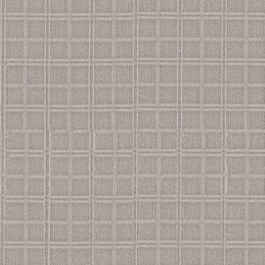 Anderson Tuftex Carpet Breeze Block Foggy 00542_ZZ291