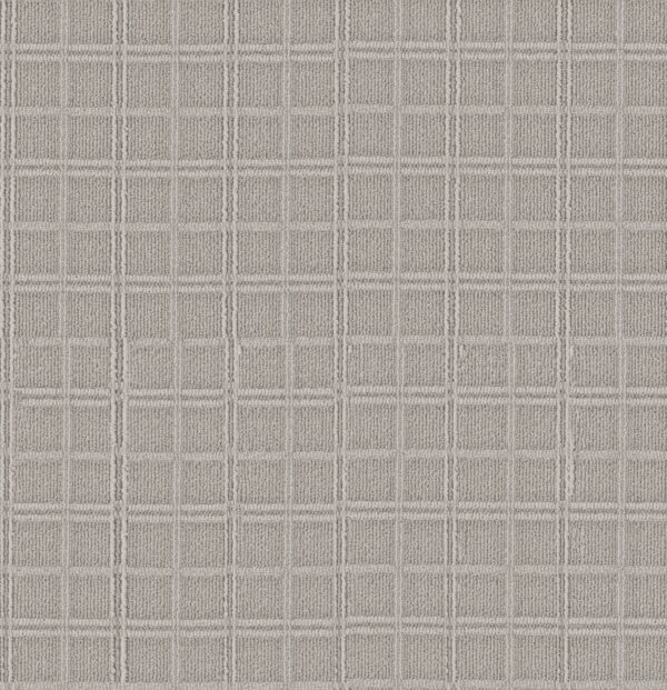 Anderson Tuftex Carpet Breeze Block Foggy 00542_ZZ291