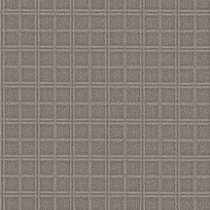 Anderson Tuftex Carpet Breeze Block Silver Polish 00546_ZZ291