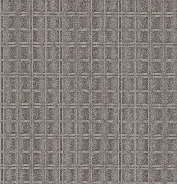Anderson Tuftex Carpet Breeze Block Silver Polish 00546_ZZ291