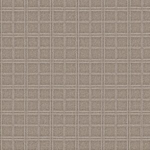 Anderson Tuftex Carpet Breeze Block Fossil 00753_ZZ291