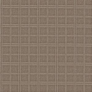 Anderson Tuftex Carpet Breeze Block Tuscan 00775_ZZ291