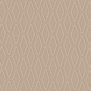 Anderson Tuftex Carpet Cozy Cable Boutique 00224_ZZ292