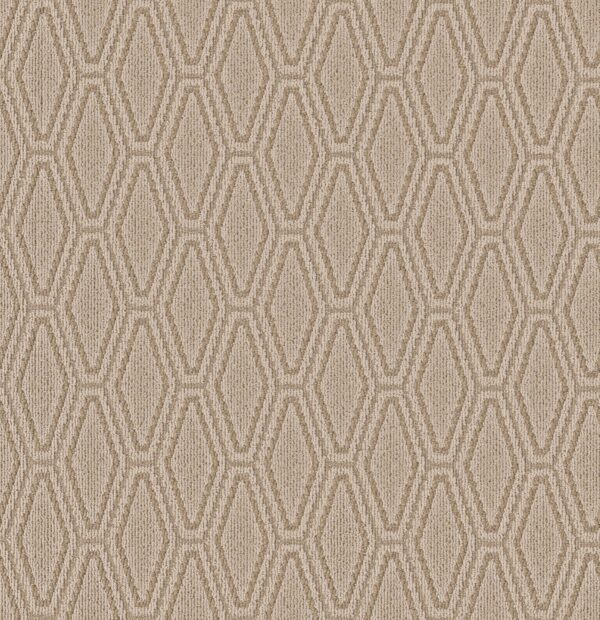 Anderson Tuftex Carpet Cozy Cable Cork 00273_ZZ292