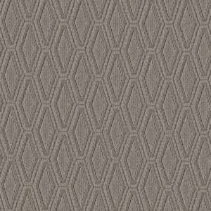 Anderson Tuftex Carpet Cozy Cable Shady 00536_ZZ292