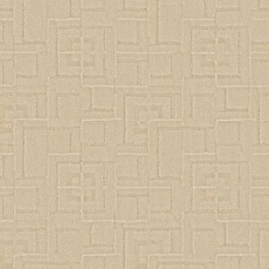 Anderson Tuftex Carpet Path Warm Light 00124_ZZ293