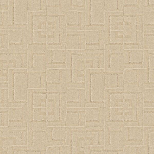 Anderson Tuftex Carpet Path Warm Light 00124_ZZ293
