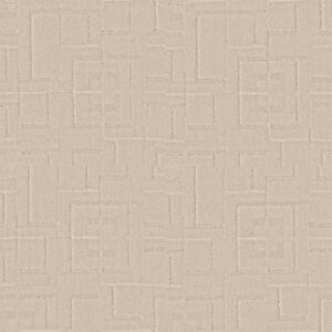 Anderson Tuftex Carpet Path Dry Creek 00172_ZZ293