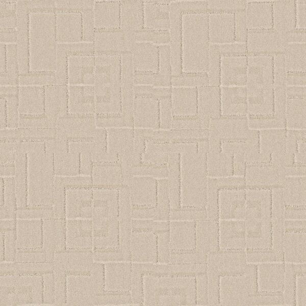 Anderson Tuftex Carpet Path Dry Creek 00172_ZZ293