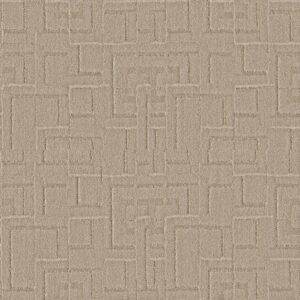Anderson Tuftex Carpet Path Dusty Dream 00173_ZZ293