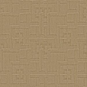 Anderson Tuftex Carpet Path Tatami 00225_ZZ293