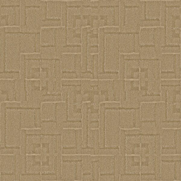 Anderson Tuftex Carpet Path Tatami 00225_ZZ293
