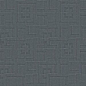 Anderson Tuftex Carpet Path Glen Falls 00445_ZZ293