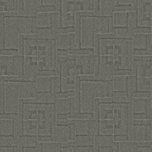 Anderson Tuftex Carpet Path Cold Morn 00555_ZZ293