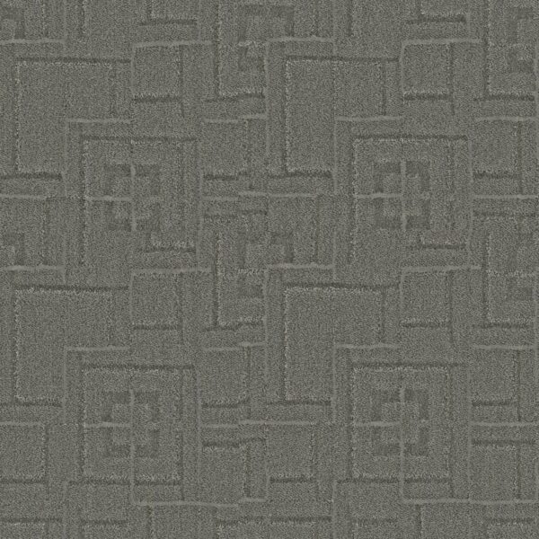 Anderson Tuftex Carpet Path Cold Morn 00555_ZZ293