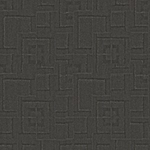 Anderson Tuftex Carpet Path Painted Rock 00557_ZZ293