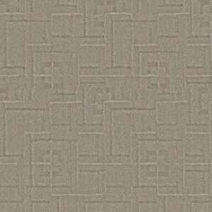 Anderson Tuftex Carpet Path Muslin 00573_ZZ293