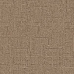 Anderson Tuftex Carpet Path Verona 00724_ZZ293