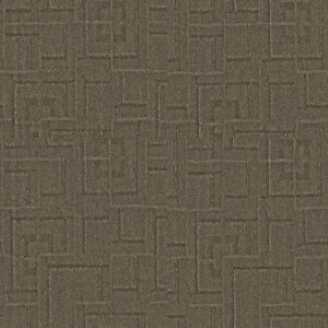 Anderson Tuftex Carpet Path Ancient 00757_ZZ293