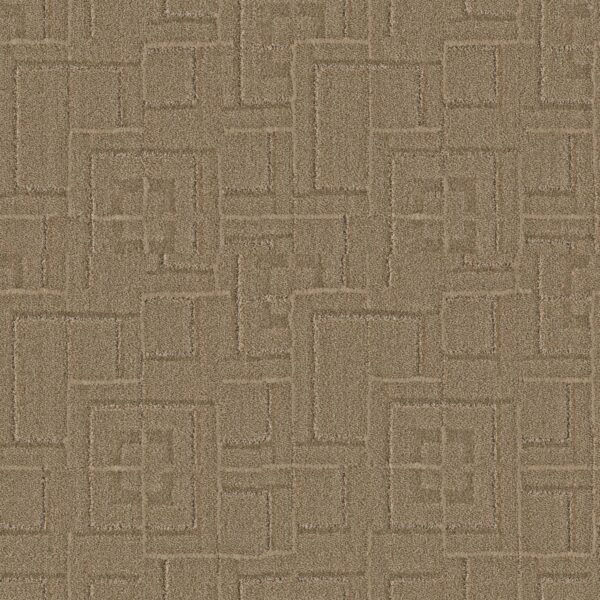 Anderson Tuftex Carpet Path Plains 00773_ZZ293