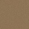 Anderson Tuftex Carpet Hello Beautiful Aura 00225_ZZ296