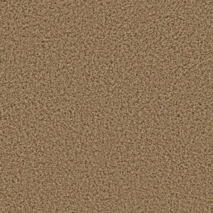 Anderson Tuftex Carpet Hello Beautiful Aura 00225_ZZ296