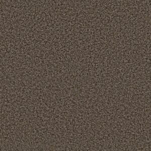Anderson Tuftex Carpet Hello Beautiful Ermine 00578_ZZ296
