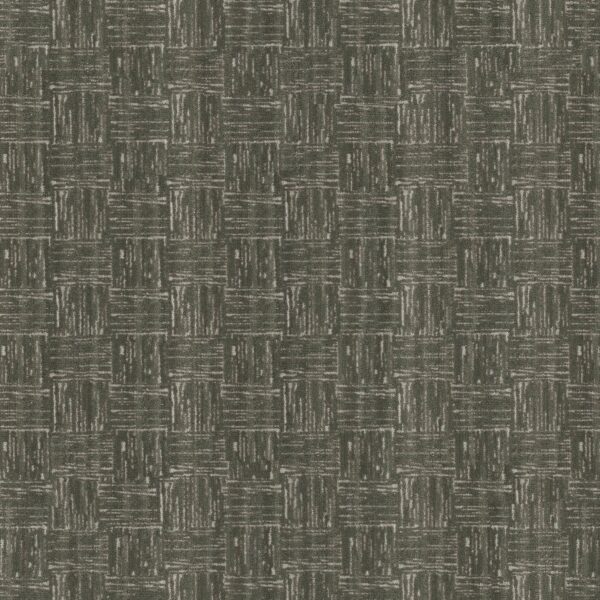 Anderson Tuftex Carpet Moderne English Garden 00301_ZZ303
