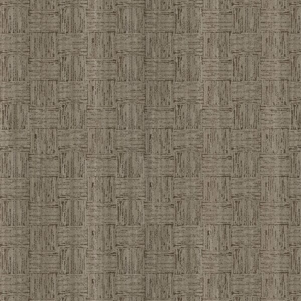 Anderson Tuftex Carpet Moderne Chateau 00702_ZZ303
