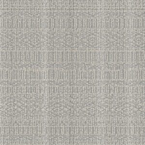 Anderson Tuftex Carpet Batique Fountain Spray 00400_ZZ304