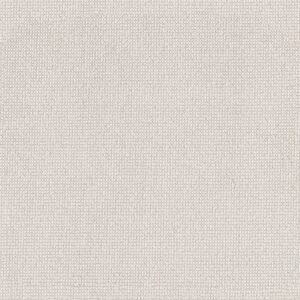 Anderson Tuftex Carpet Alluring Cotton 00111_ZZ316
