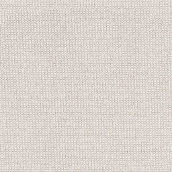 Anderson Tuftex Carpet Alluring Cotton 00111_ZZ316