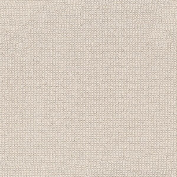 Anderson Tuftex Carpet Alluring Ivory 00112_ZZ316
