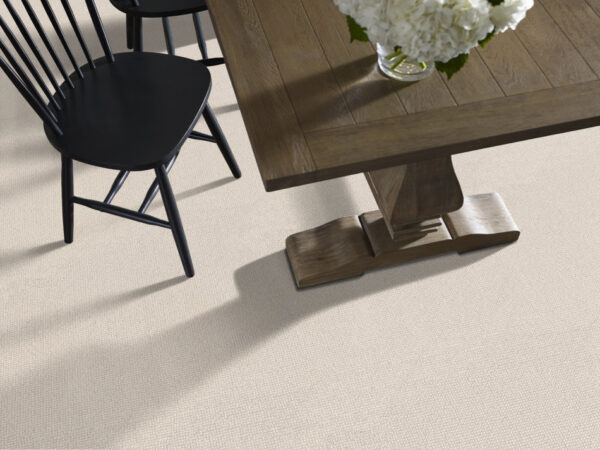 Anderson Tuftex Carpet Alluring Ivory 00112_ZZ316 - Image 2