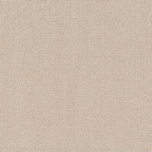 Anderson Tuftex Carpet Alluring Papyrus 00113_ZZ316