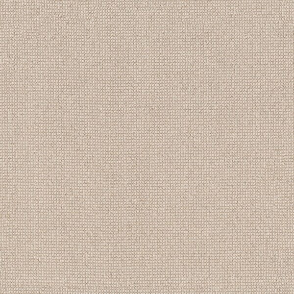 Anderson Tuftex Carpet Alluring Papyrus 00113_ZZ316