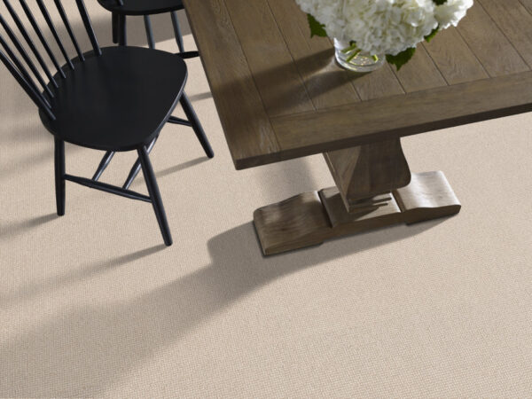Anderson Tuftex Carpet Alluring Papyrus 00113_ZZ316 - Image 2