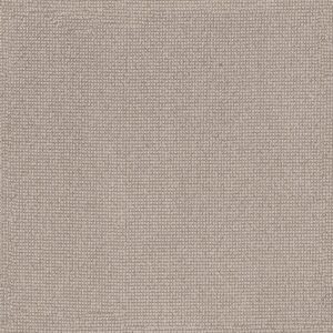 Anderson Tuftex Carpet Alluring Cashmere 00114_ZZ316