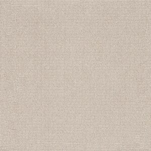 Anderson Tuftex Carpet Alluring Birchbark 00121_ZZ316