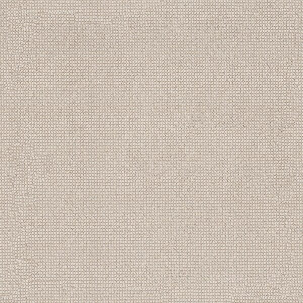 Anderson Tuftex Carpet Alluring Birchbark 00121_ZZ316