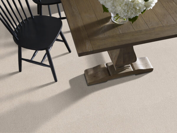 Anderson Tuftex Carpet Alluring Birchbark 00121_ZZ316 - Image 2