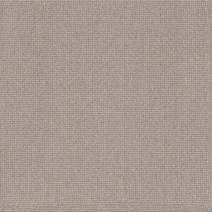 Anderson Tuftex Carpet Alluring Gypsum 00171_ZZ316