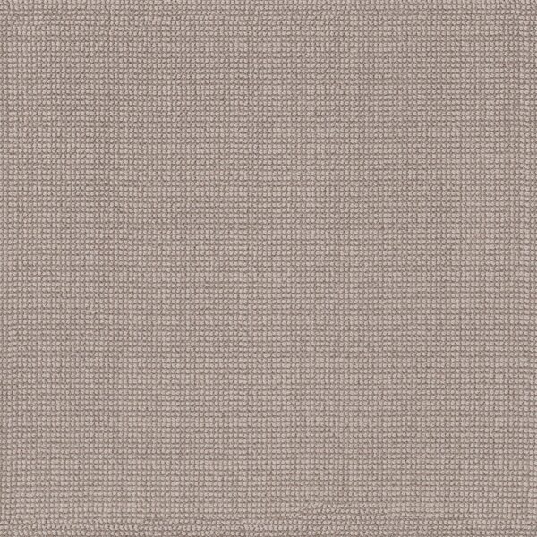 Anderson Tuftex Carpet Alluring Gypsum 00171_ZZ316