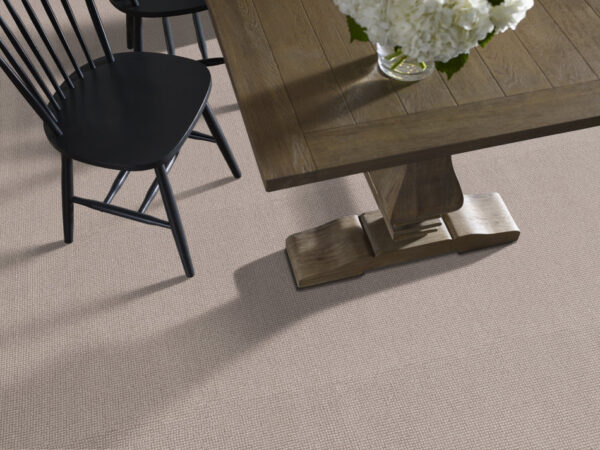 Anderson Tuftex Carpet Alluring Gypsum 00171_ZZ316 - Image 2