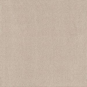 Anderson Tuftex Carpet Alluring Basalt 00221_ZZ316