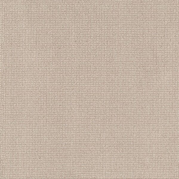 Anderson Tuftex Carpet Alluring Basalt 00221_ZZ316